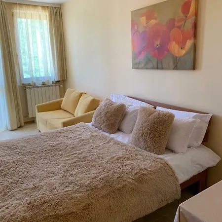 Studios-villa Park Sv Hotel *
